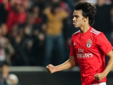 Atletico Equal Offer From City For Joao Felix Besoccer