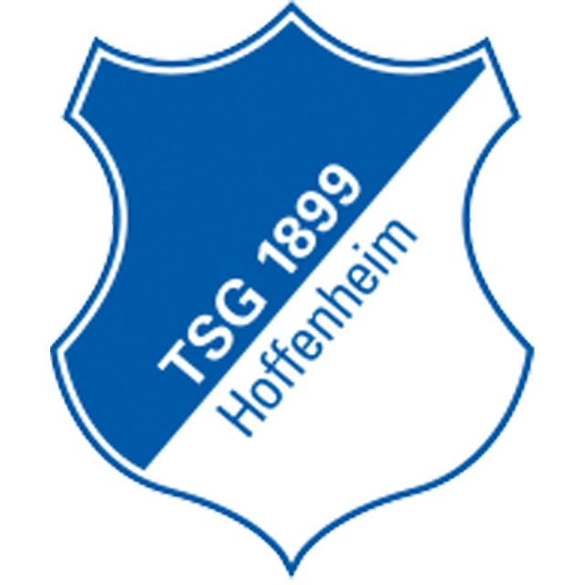Hoffenheim U17