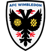 AFC Wimbledon U18