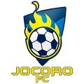 Escudo del Jocoro