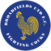 Broadfields United