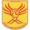 Salgueiros 08