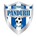 Viitorul Pandurii