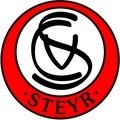Escudo del Vorwarts Steyr