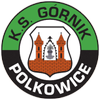Gornik Polkowice
