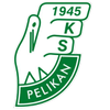 Pelikan Lowicz