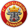 Mecklenburg Schwerin U19