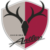 Kashima Antlers