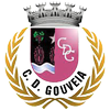 Gouveia U19