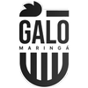 Galo Maringá