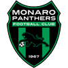 Monaro Panthers