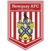 Newquay AFC
