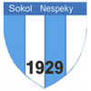 TJ Sokol Nespeky