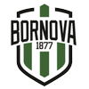 Viven Bornova FK