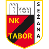 Tabor Sezana U19