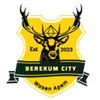 Berekum City