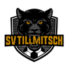 SV Tillmitsch
