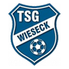 TSG Wieseck U17