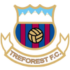 Treforest FC