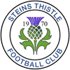 Steins Thistle