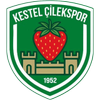 Kestel Cilekspor