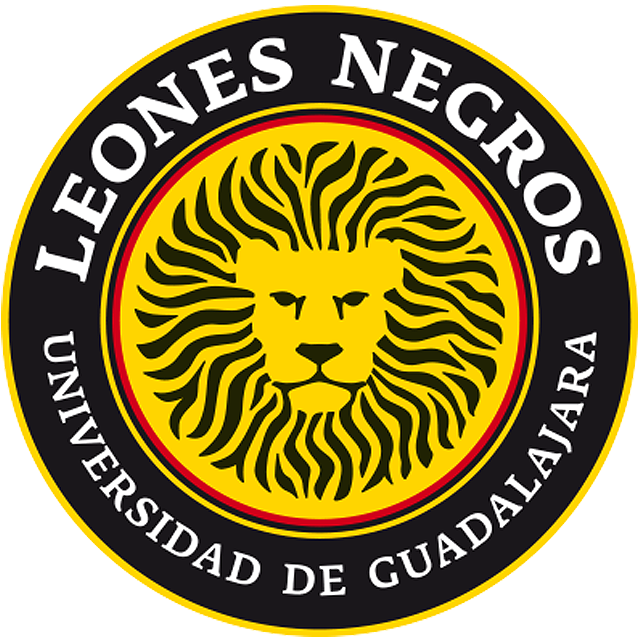 Leones Negros III