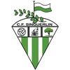 CF Singuerlin