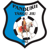 Pandurii
