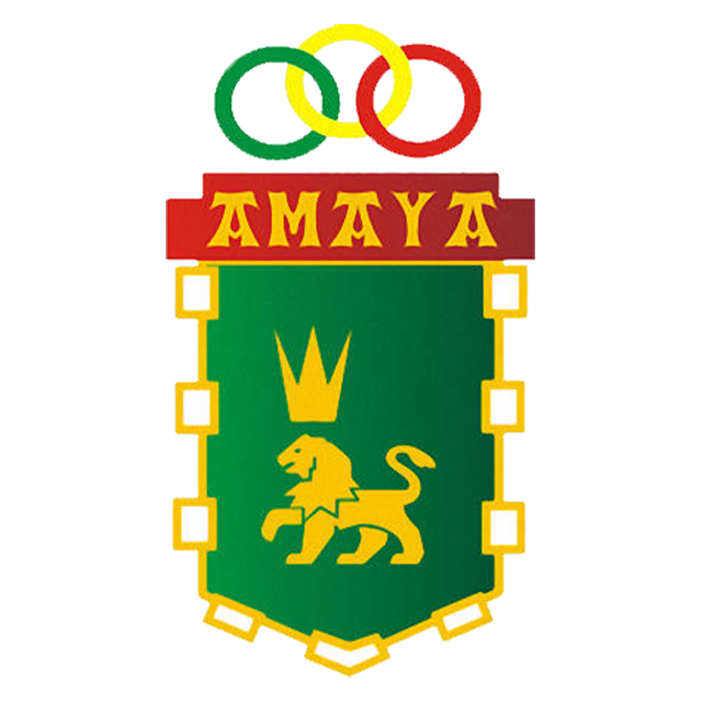 C.D. Amaya Alevin D