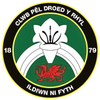 Rhyl FC