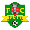 FC Vaslui