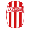 VF Colligiana