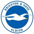 Escudo del Brighton & Hove Albion