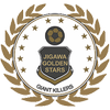 Jigawa Golden Stars
