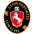 Deportes Limache