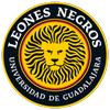 Leones Negros