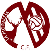 CD Moraleja Futbol
