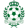 Dessel Sport