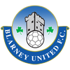 Blarney United