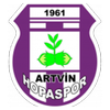 Artvin Hopaspor