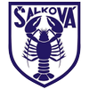 Šalková