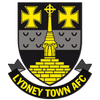 Lydney Town