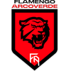 Flamengo Arcoverde