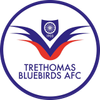 Trethomas Bluebirds