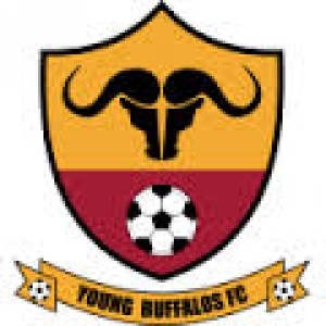 Fixtures And Results For Young Buffaloes