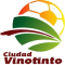 Ciudad Vinotinto