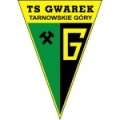 Escudo Gwarek Tarnowskie Gory