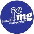 Escudo Liestal