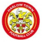 Harlow Town