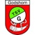 club crest